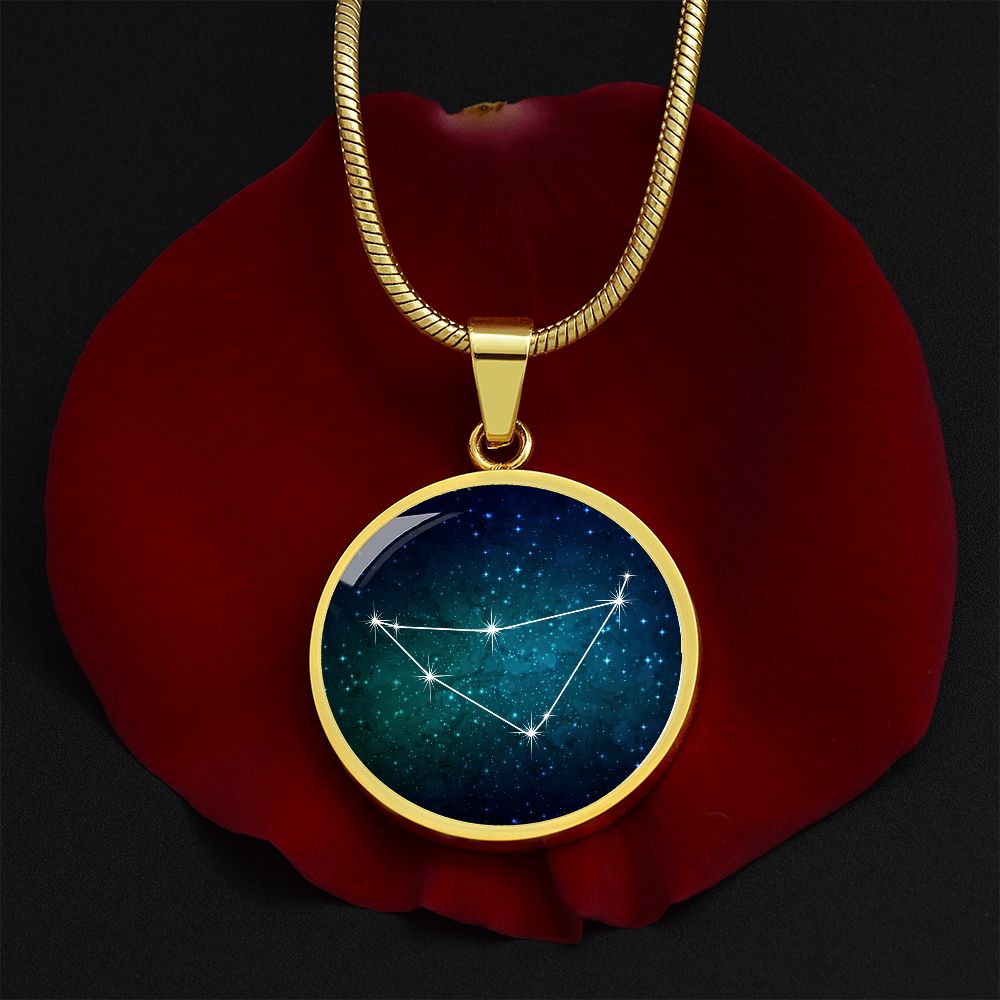 Capricorn Necklace - zodiac necklace, constellation necklace