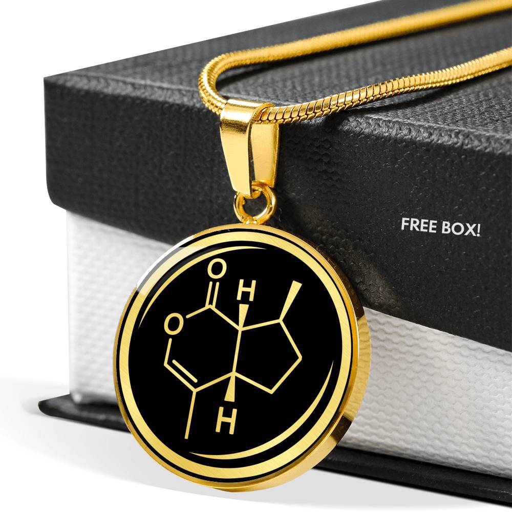 Catnip Molecule Necklace - Cat Lover Gift