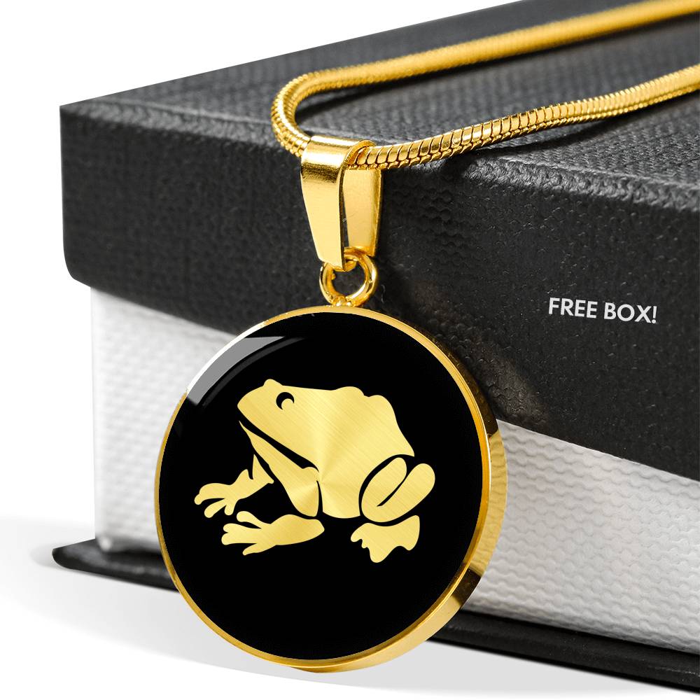 Frog Necklace - Frog Gift