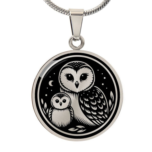 Mother & Baby Owl