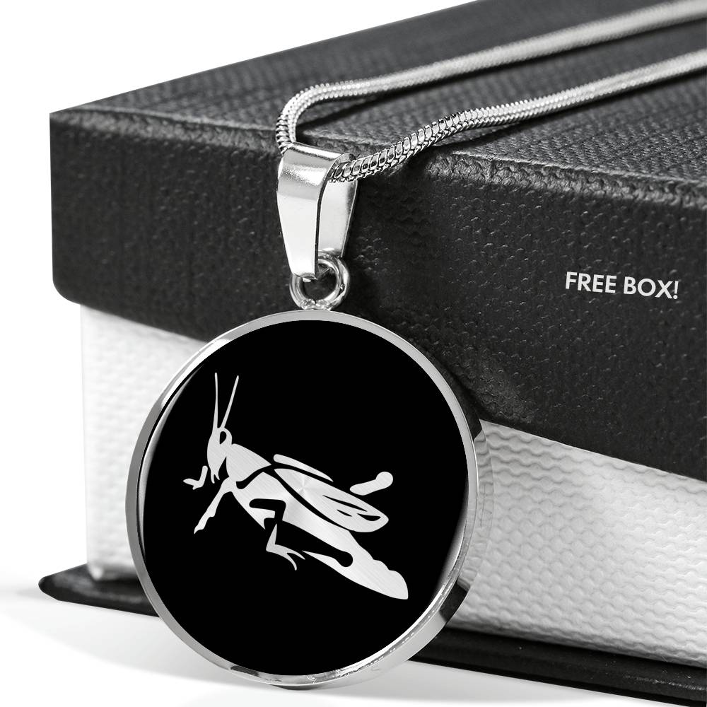 Grasshopper Necklace - Grasshopper Gift
